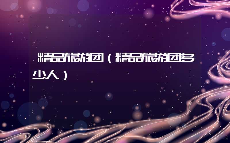 精品旅游团（精品旅游团多少人）