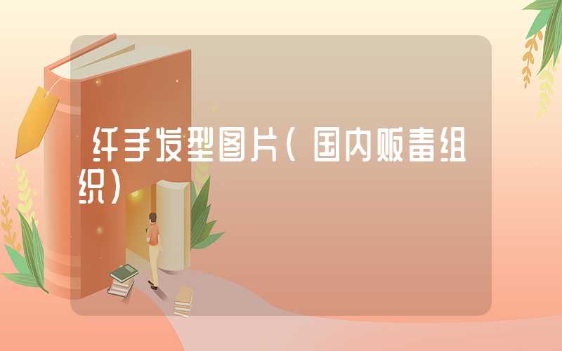 纤手发型图片（国内贩毒组织）