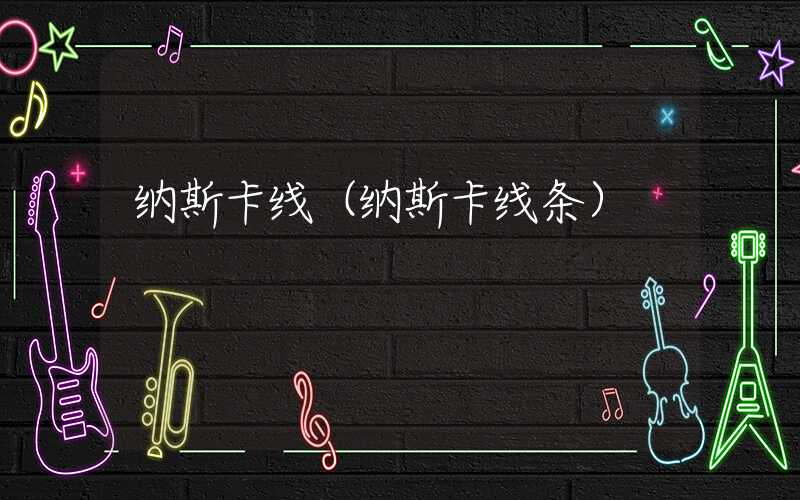 纳斯卡线（纳斯卡线条）