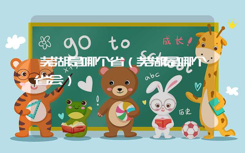 芜湖是哪个省（芜湖是哪个省会）
