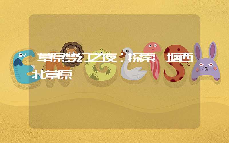 草原梦幻之夜:探索羌塘西北草原
