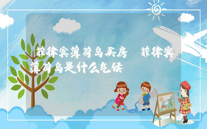 菲律宾薄荷岛买房（菲律宾薄荷岛是什么气候）