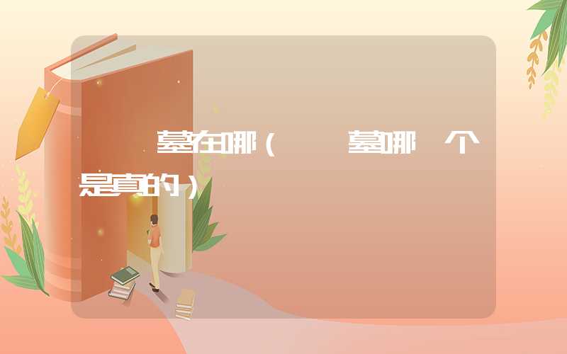虞姬墓在哪（虞姬墓哪一个是真的）