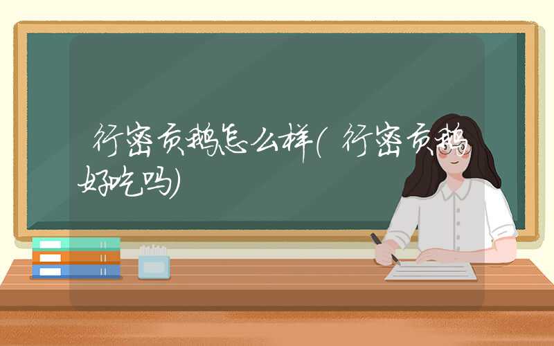 行密贡鹅怎么样（行密贡鹅好吃吗）