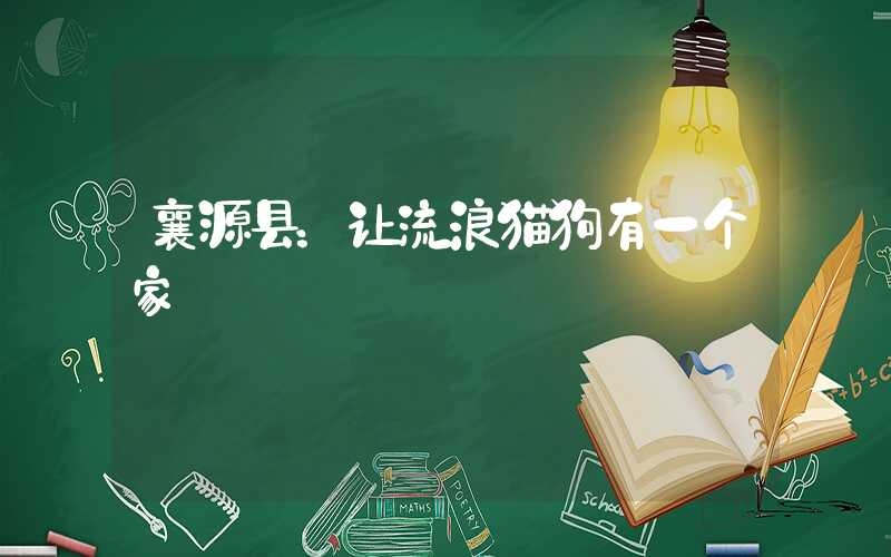 襄源县:让流浪猫狗有一个家