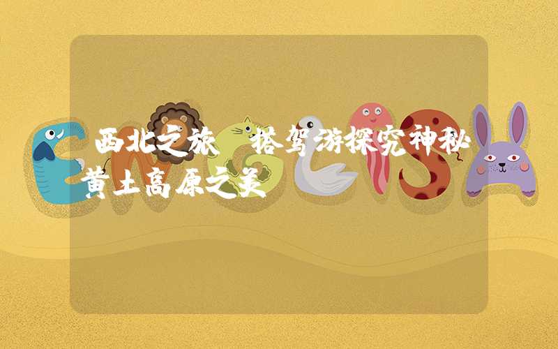 西北之旅：搭驾游探究神秘黄土高原之美