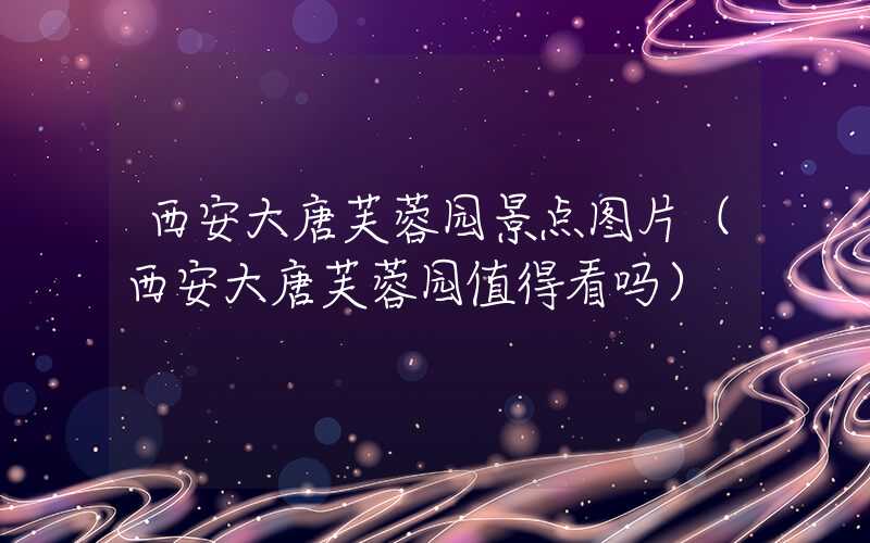 西安大唐芙蓉园景点图片（西安大唐芙蓉园值得看吗）