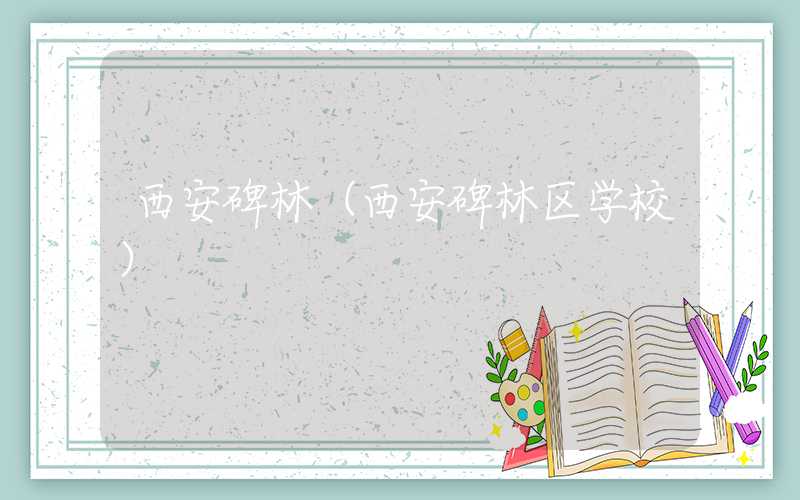 西安碑林(西安碑林区学校)