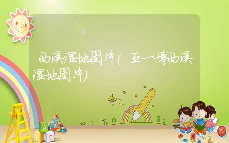 西溪湿地图片（王一博西溪湿地图片）