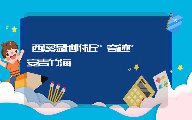西溪湿地附近“奇迹”——安吉竹海