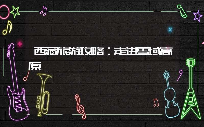 西藏旅游攻略：走进雪域高原