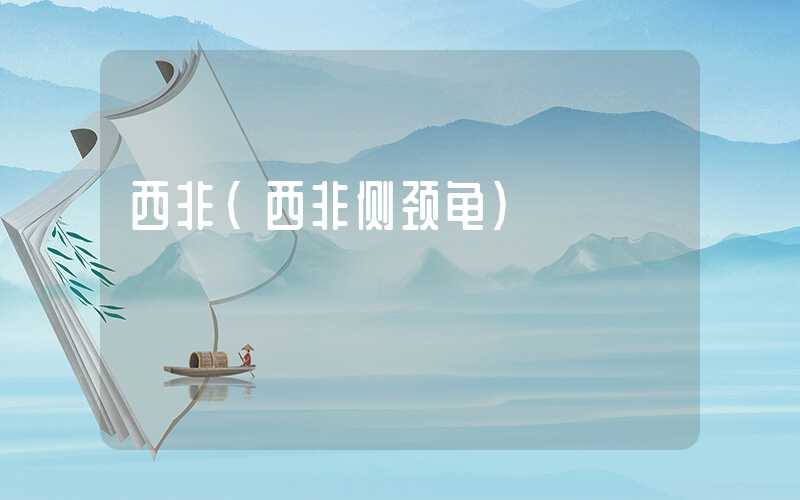 西非(西非侧颈龟)
