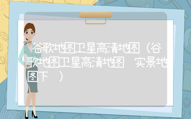 谷歌地图卫星高清地图（谷歌地图卫星高清地图 实景地图下载）