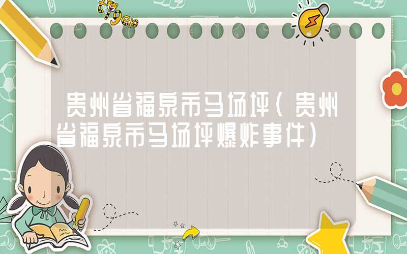 贵州省福泉市马场坪（贵州省福泉市马场坪爆炸事件）