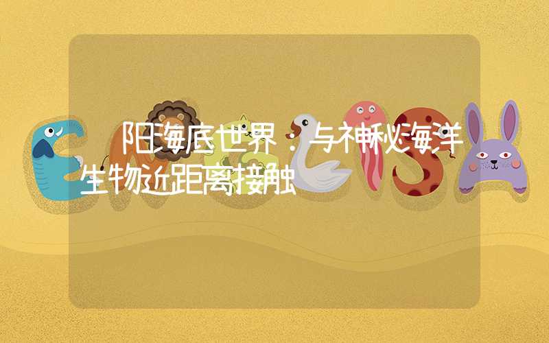 贵阳海底世界：与神秘海洋生物近距离接触