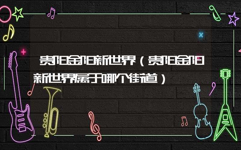 贵阳金阳新世界（贵阳金阳新世界属于哪个街道）