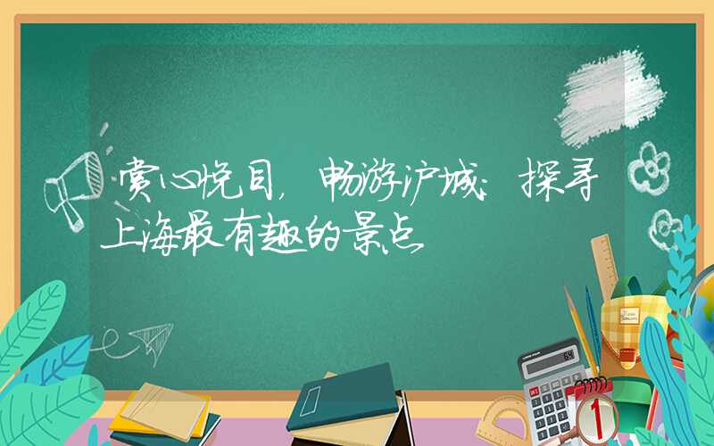 赏心悦目，畅游沪城：探寻上海最有趣的景点