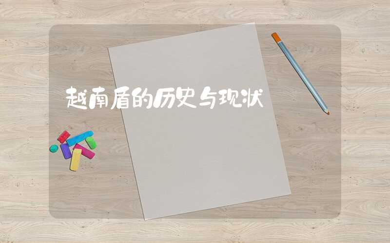 越南盾的历史与现状