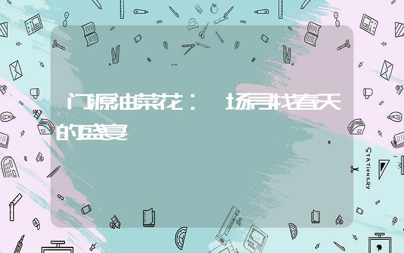 门源油菜花：一场寻找春天的盛宴