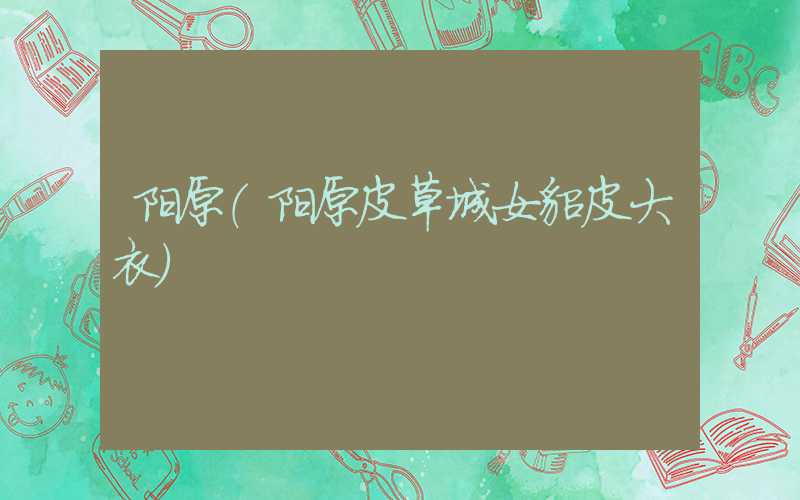 阳原(阳原皮草城女貂皮大衣)