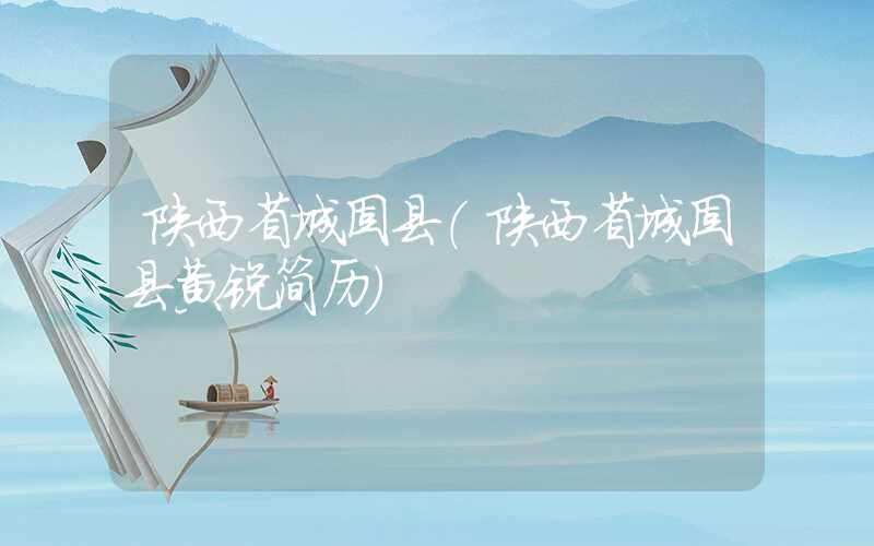 陕西省城固县（陕西省城固县黄锐简历）