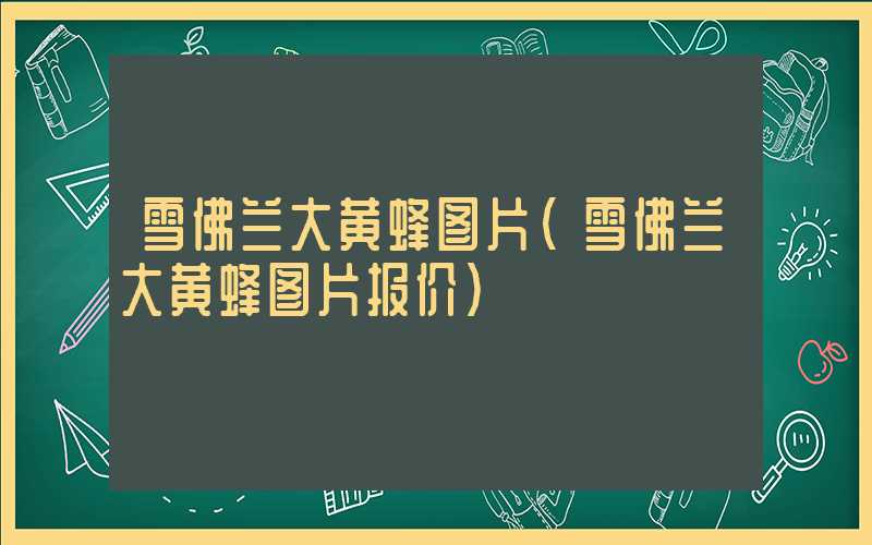 雪佛兰大黄蜂图片(雪佛兰大黄蜂图片报价)