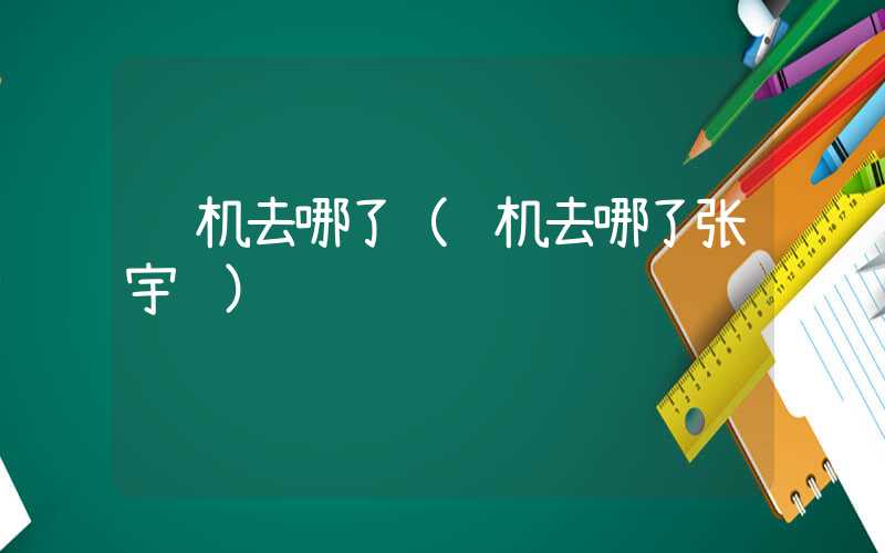飞机去哪了（飞机去哪了张宇轩）