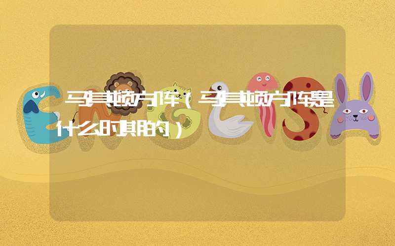 马其顿方阵（马其顿方阵是什么时期的）