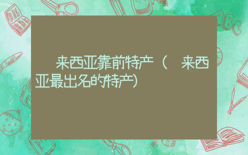 马来西亚靠前特产（马来西亚最出名的特产）