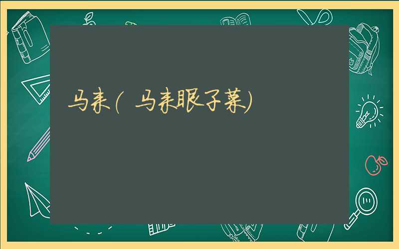马来（马来眼子菜）