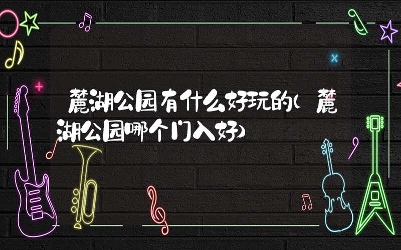 麓湖公园有什么好玩的（麓湖公园哪个门入好）
