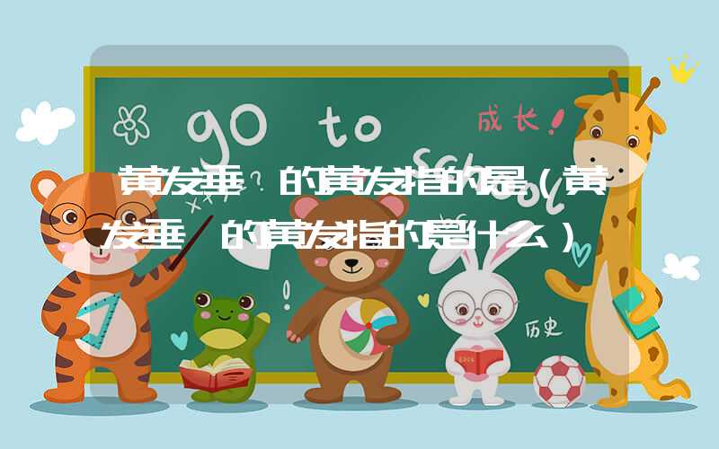 黄发垂髫的黄发指的是（黄发垂髫的黄发指的是什么）