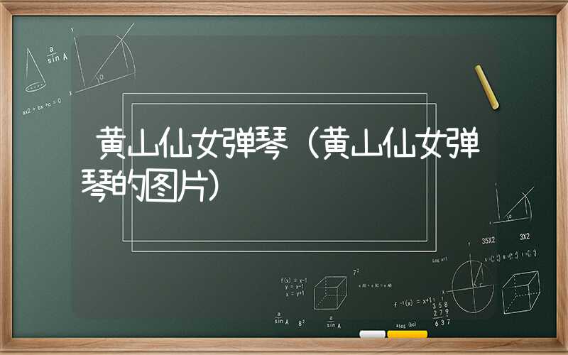 黄山仙女弹琴(黄山仙女弹琴的图片)