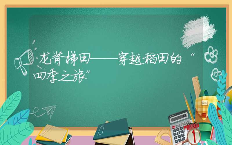 龙脊梯田——穿越稻田的“四季之旅”