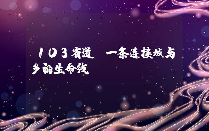 103省道：一条连接城与乡的生命线