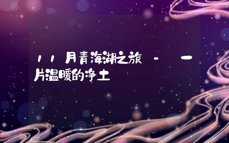 11月青海湖之旅 - 一片温暖的净土