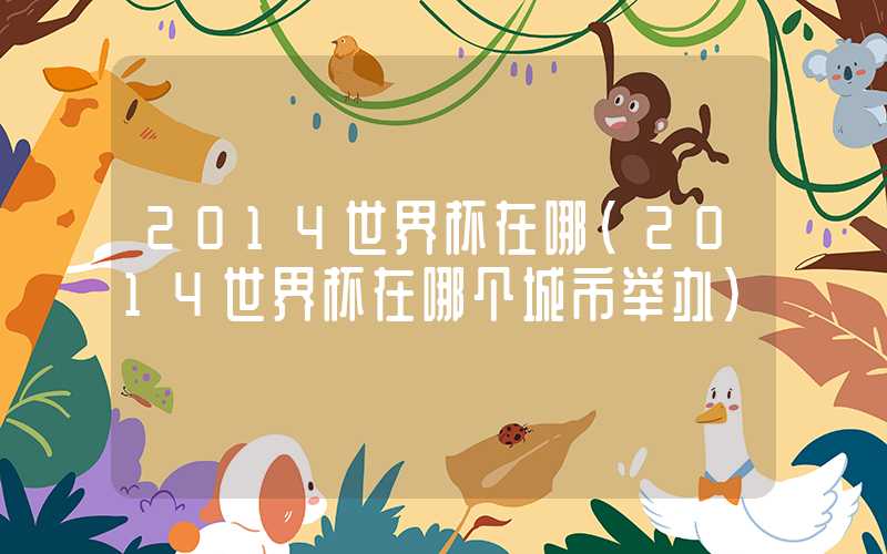 2014世界杯在哪（2014世界杯在哪个城市举办）