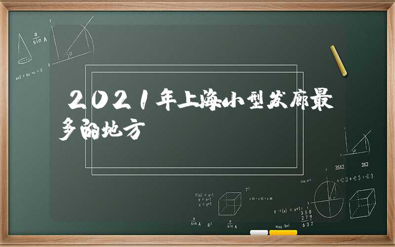 2021年上海小型发廊最多的地方