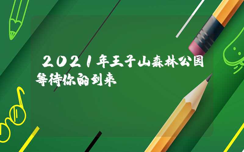 2021年王子山森林公园等待你的到来