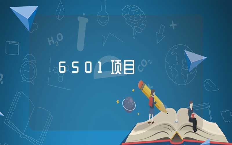 6501项目