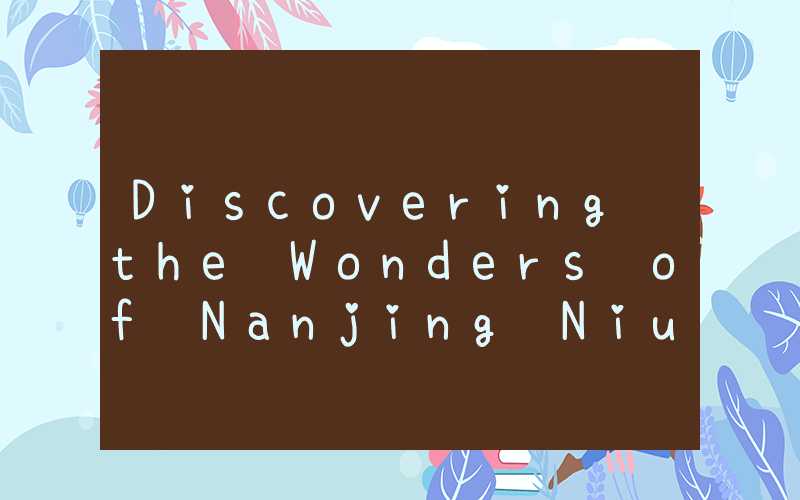 Discovering the Wonders of Nanjing NiuShouShan Scenic Area