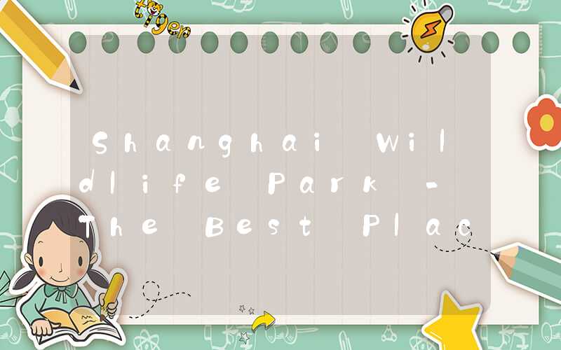 Shanghai Wildlife Park - The Best Place to Experience the Wild