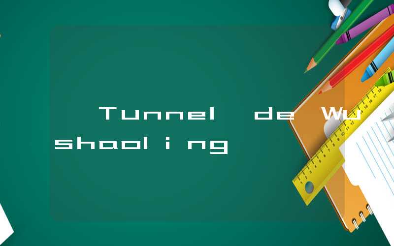 Tunnel de Wushaoling