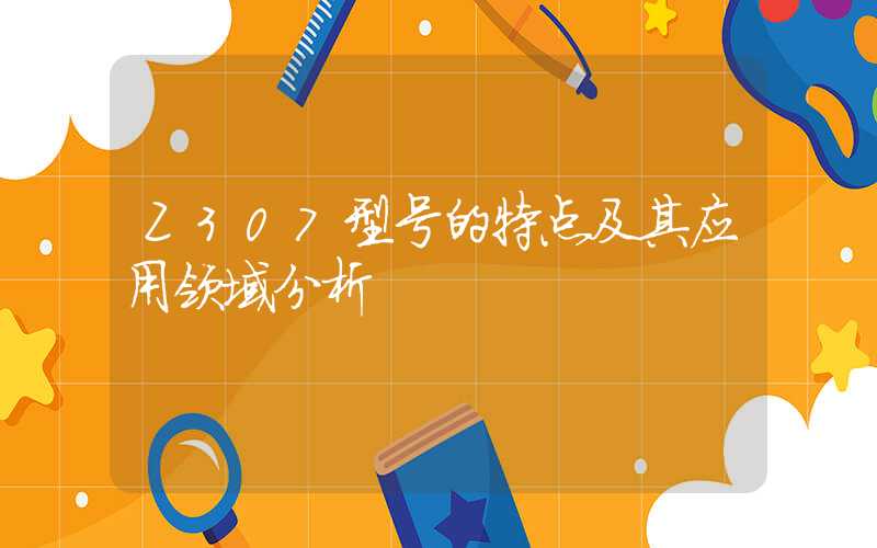 Z307型号的特点及其应用领域分析